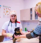 Ветеринарная клиника Амикус Фото 7 на проекте Krsk.vetspravka.ru