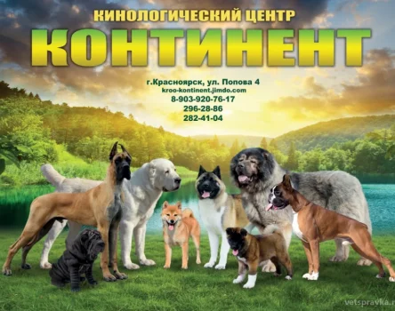 Клуб собаководства Континент Фото 2 на проекте Krsk.vetspravka.ru